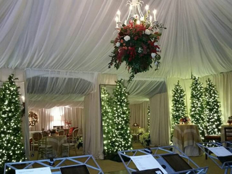 decor and design tent rental chandelier lighted tree